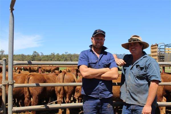With some of the Muir family's Red Angus cattle on display at the recent Red Angus Beef Field Day were Jason Edwards (left), Manjimup and Wyndarra stud connection Kent Muir.