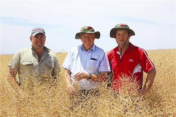 Mingenew Football Club president Daniel Michael (left), Pioneer Seeds representative Rob Bagley and Elders cropping manager Rob Campbell in the footy club's canola crop.