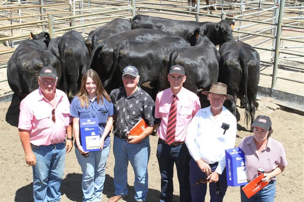 With the $2300 top-priced pen of eight Angus-Friesian heifers PTIC to Angus bulls at the Elders Boyanup Supreme Springing heifer sale at Boyanup last Friday, were Bill Kessell (left), Elders Donnybrook, who represented the buyers, vendors Jim and Sonia Brooks, JA & NA Brooks, Witchcliffe, sale co-ordinator Michael Carroll, Elders Bunbury and buyers Gerald Young and Denise Brookes, EN Young & Son, 