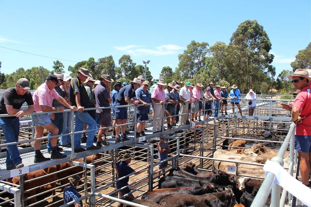 The long-term future of the Boyanup cattle saleyards is under a cloud.