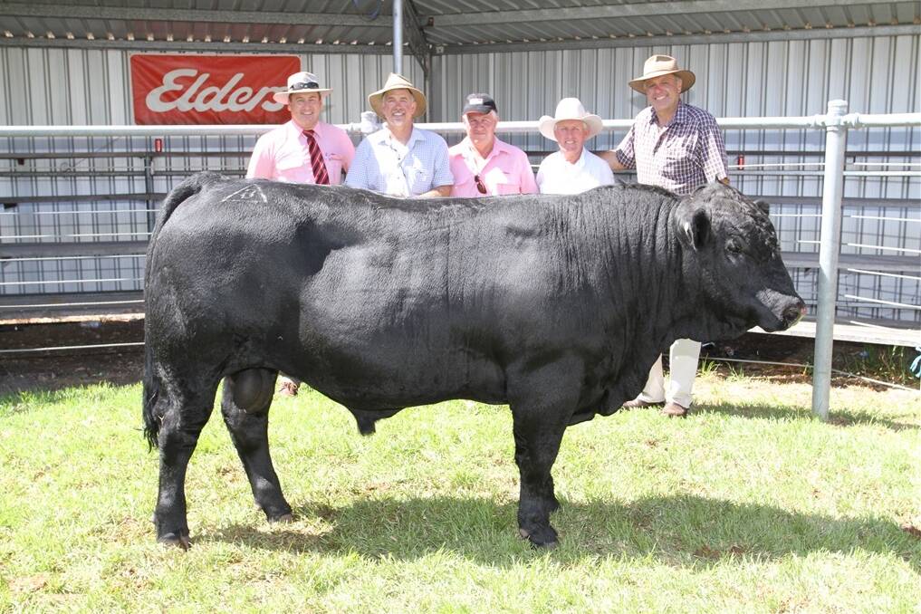 The 2014 bull selling season record top price to date was recorded at the Bonnydale Simmental Farms annual on-property bull sale at Bridgetown last week.