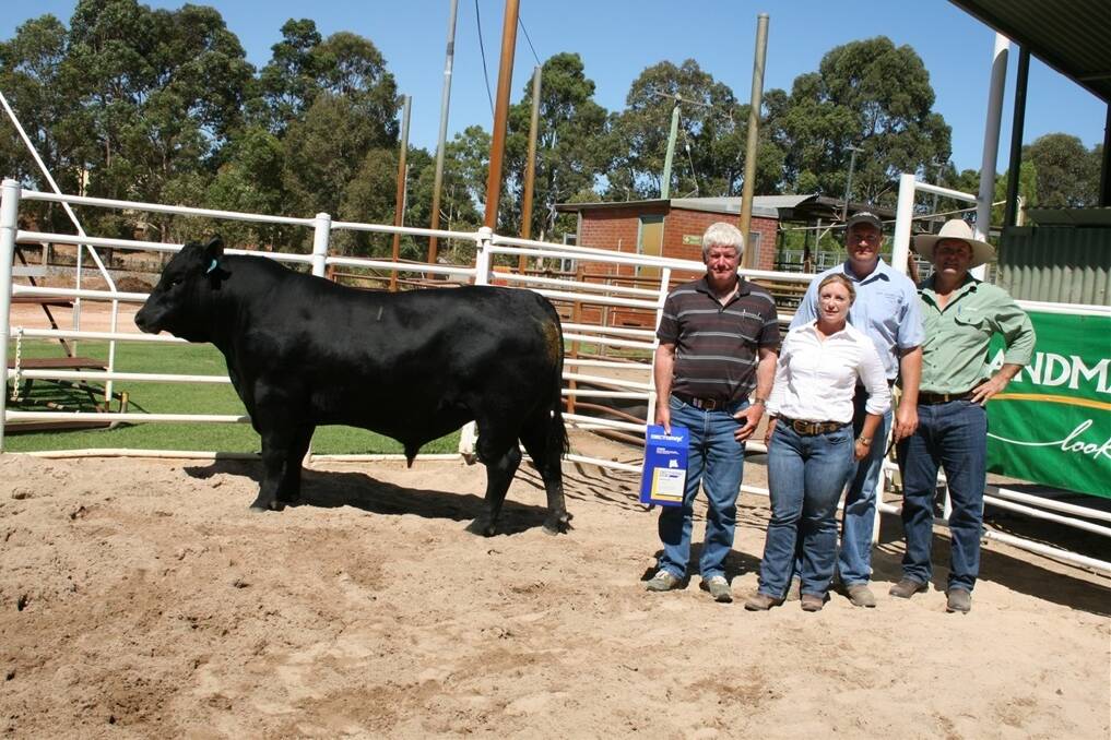 With the $8800 top-priced New Generation bull at the annual New Generation and Cherylton Angus bull sale last week at Boyanup were buyer David Brown (left), Green Valley, Albany, New Generation stud principals Jodie and David Hughan, Dardanup and Landmark Boyanup-Capel agent Chris Waddingham.