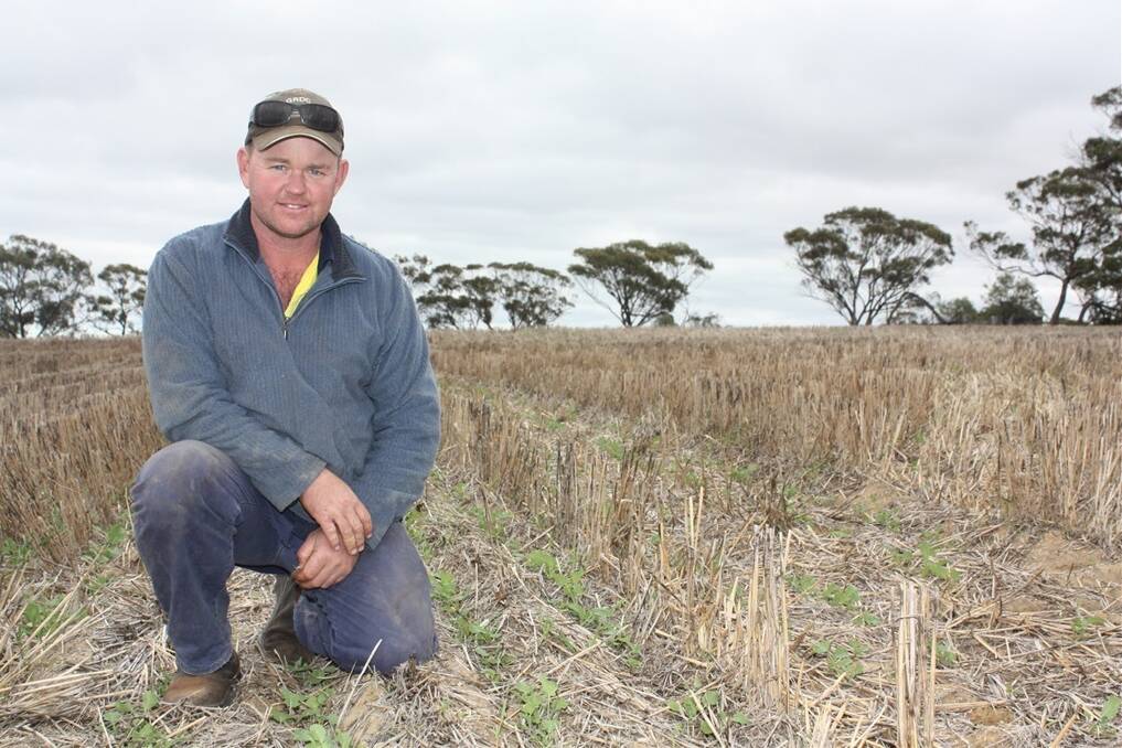BOLGART grower Trevor Syme said almost all of his program was up, after starting seeding just after ANZAC day and finishing in the first week of June.