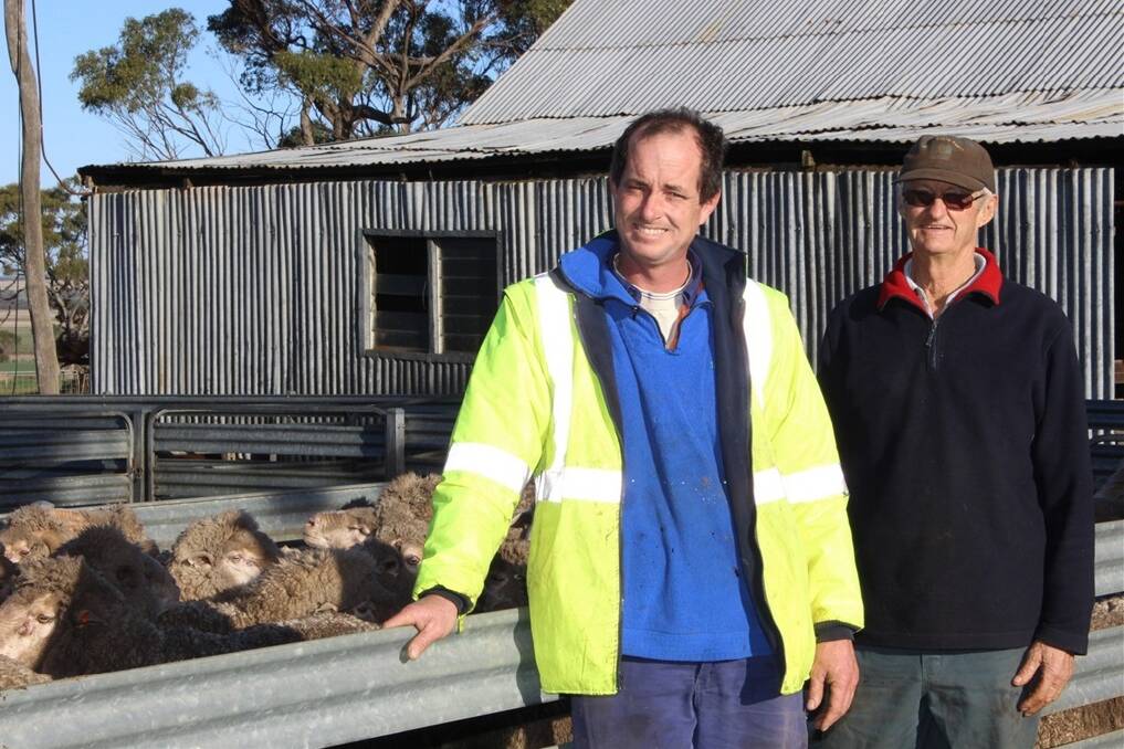 Dumbleyung farmers Jamie (left) and Owen Dare recognised a long time ago the significant benefit measuring growth rates and wool traits could have on their Merino flock.