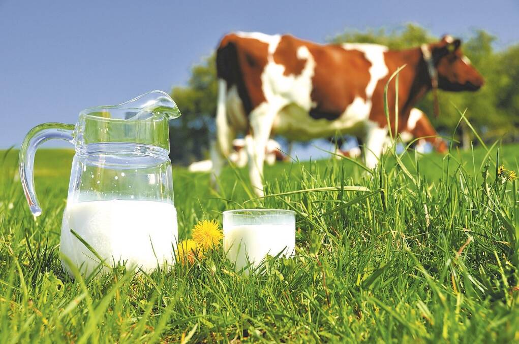 Social media support for dairy FTA