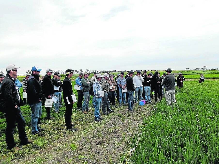 Part of the crowd at the WANTFA field day checking the early sowing trials, with the plots being planted between April 27 and July 8.