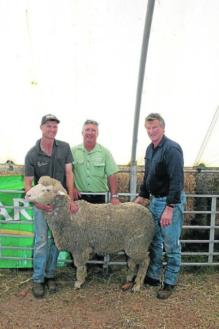 Challara principal Peter Wilkinson (left), holds one of the equal top-priced rams at the stud sale. With him were Landmark Morawa representative Greg Hughes, who was representing top-priced buyer Mark Coaker, Morawa and Paul Reynolds, Northam, who purchased the other top-priced ram.