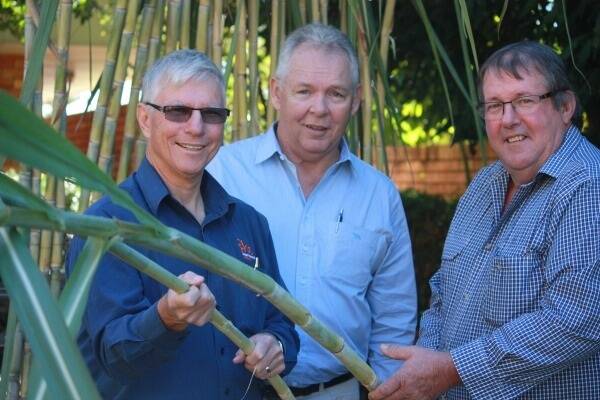 Dr Mike Cox with Sugar Research Australia discuss the new varieties with Ray Hatt, Bundaberg Sugar, and Allan Dingle, Canegrowers senior vice-chairman.