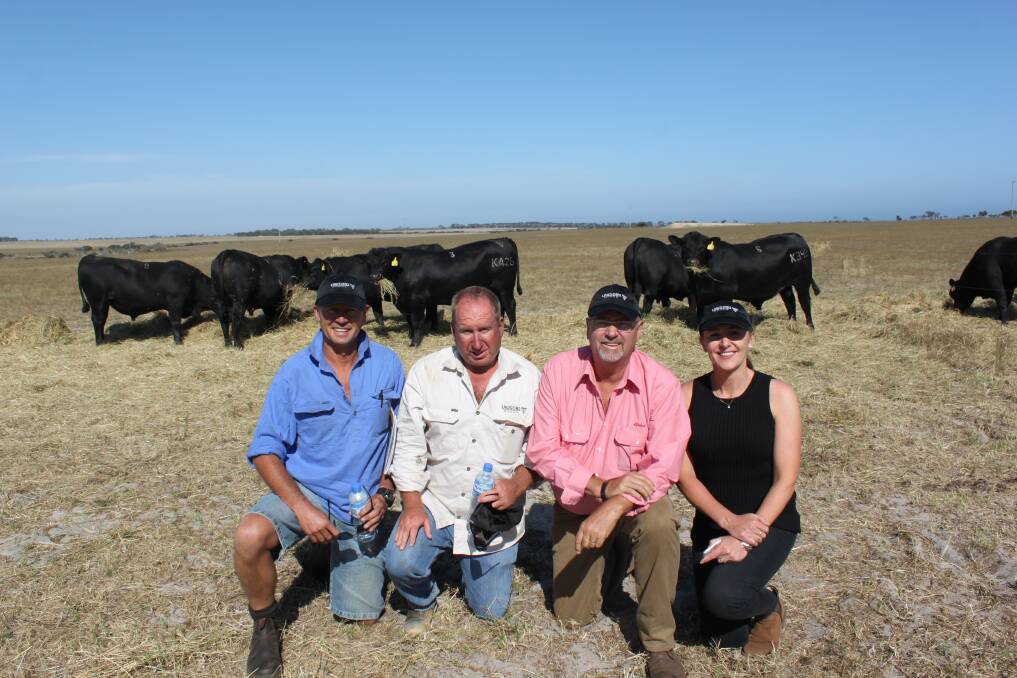 Prices hit a high of $10,000 at the Lawsons Angus on-property bull sale at Jerdacuttup last week for lot three. Pictured in front of the top-priced bull were buyer Todd Quinlivan (left), Quintarra Farms, Esperance, Lawsons stud principal Harry Lawson, Elders auctioneer Don Morgan and Ruth Lawson, Lawsons Angus.