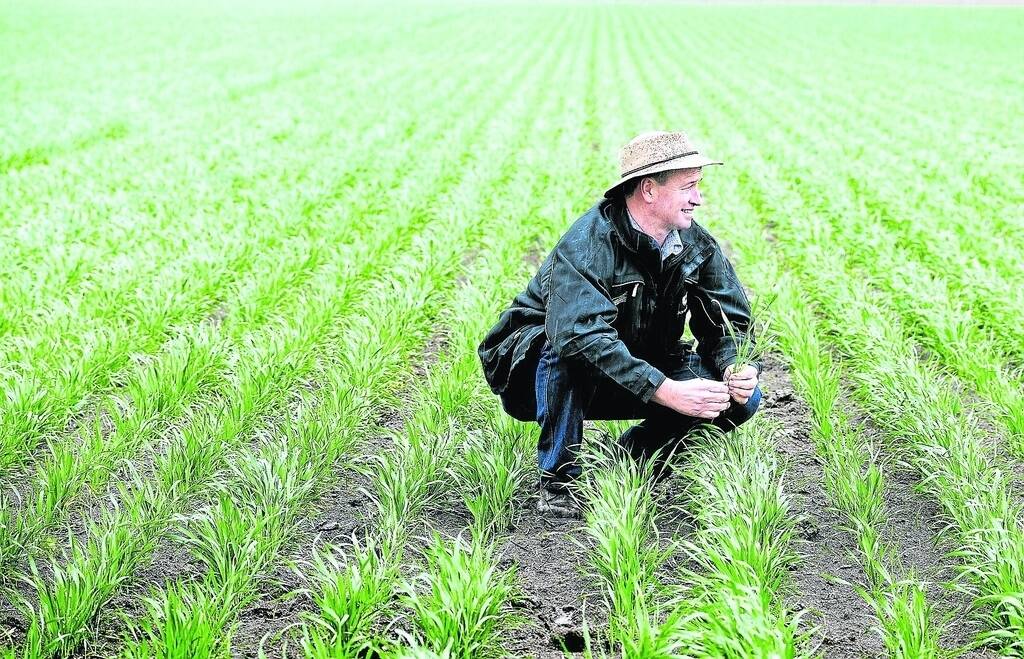 Grain Producers Australia chairman Andrew Weidermann.