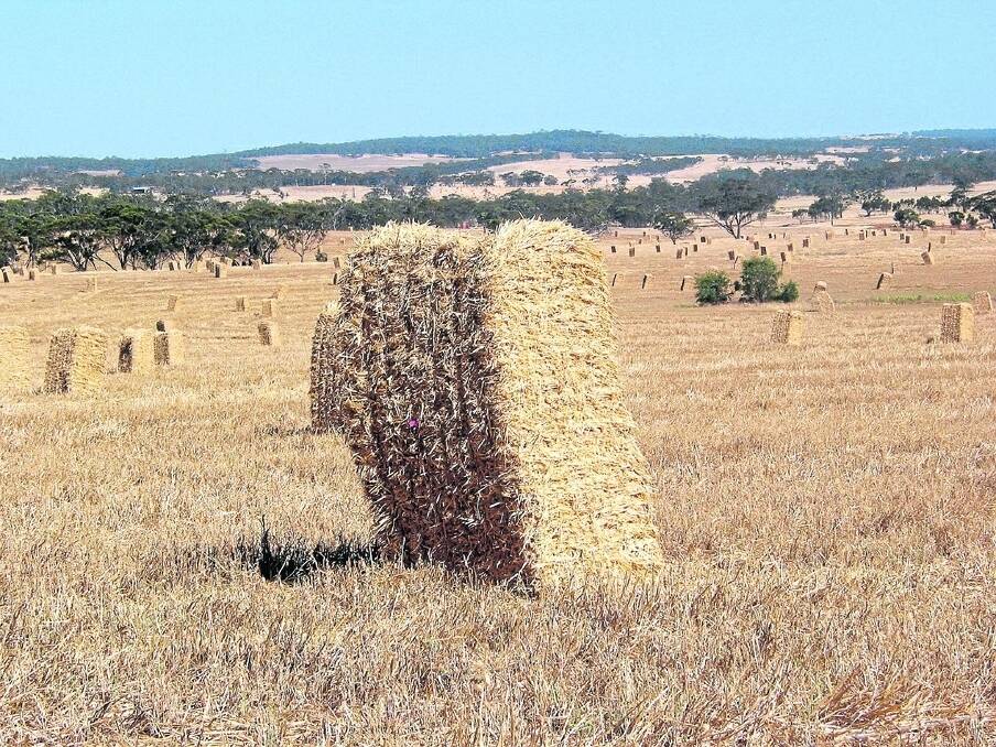 Processor wants more WA hay for export