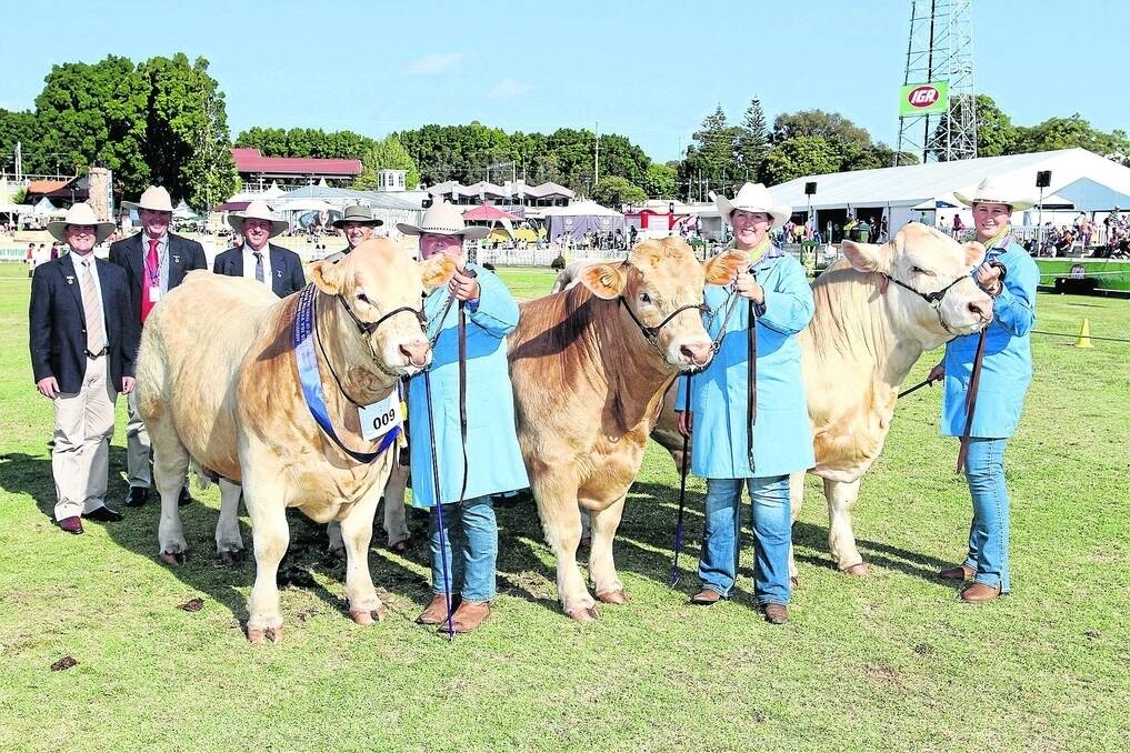 With the champion interbreed group of three bulls exhibited by the Liberty Charolais stud, Toodyay, at the 2015 IGA Perth Royal Show were judges Corey Ireland (back left), Wagga Wagga, NSW, Andrew Chapman, Caliope, Queensland, Scott Hann, Moree, NSW and Ian Coughlan, Gerogery, NSW and handlers Rachel Williams (front left), Narrikup, and Morgan and Jess Yost, Liberty stud.
