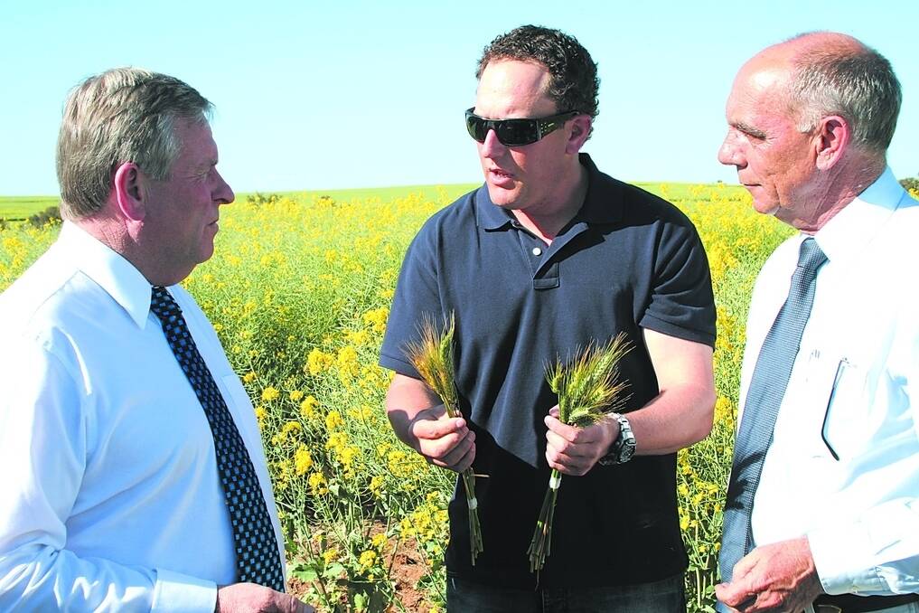 Premier Colin Barnett (left), Meckering grower John Snooke and Agricultural Region MLC Jim Chown discuss the specifics of genetically modified (GM) crops in a field of GM canola.