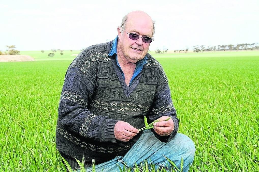 Newdegate grower Bob Iffla hosted several meetings on behalf of WAFarmers in recent weeks, focusing on CBH and the Australian Grains Champion proposal to corporatise the co-operative.