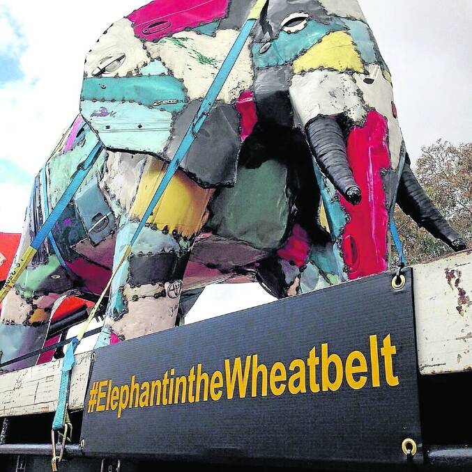 The RAC's Elephant in the Wheatbelt campaign is kicking off again this week.