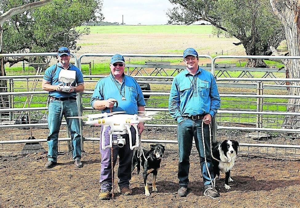 Chris Mayfield, South Bunbury, flies a camera-equipped drone around "Working Dog Whisperer" Ben Page, with Page&#39;s Sonny Boy, and teaching assistant Duncan Anderson, Capel, with Page&#39;s Whisky. The drone was used as a teaching tool to film students and their dogs working sheep.