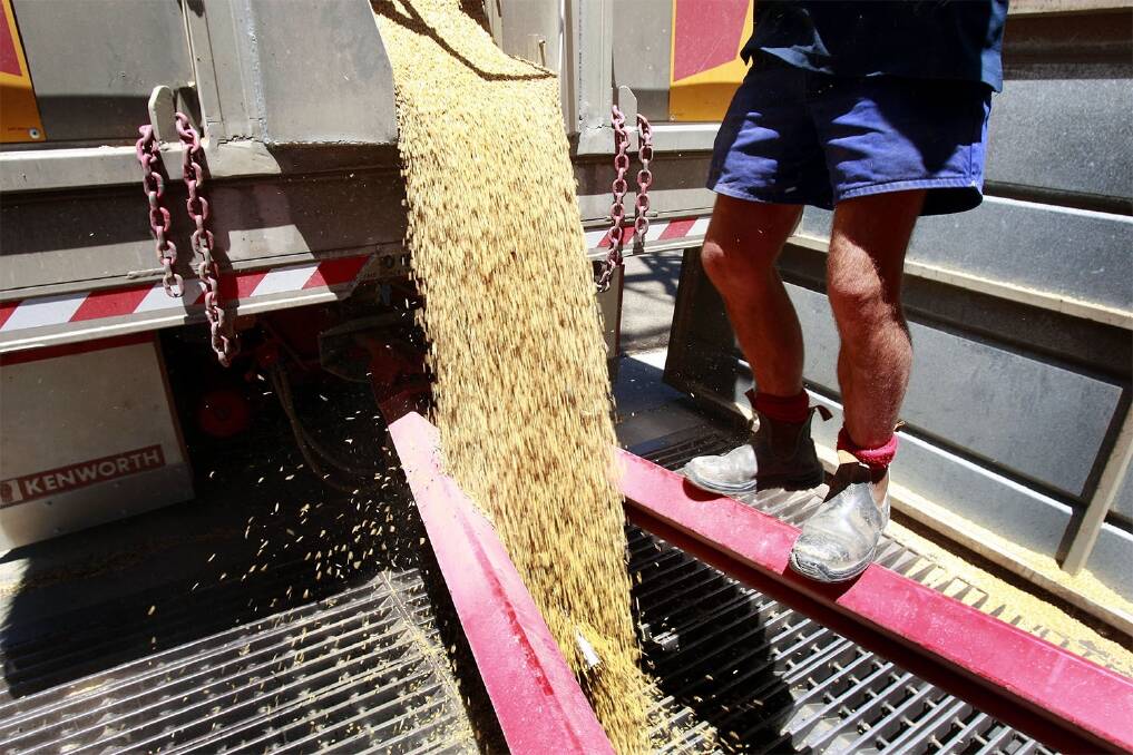 Growers should target grain price spikes