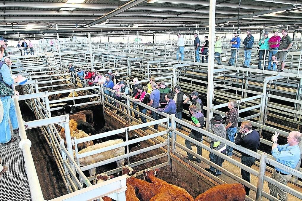 Western Australian Meat Industry Authority (WAMIA) will take full control of Muchea Livestock Centre.