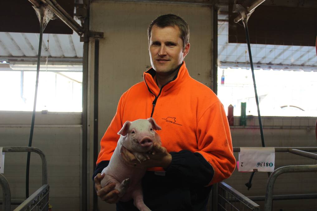 South West pig farmer Torben Soerensen is investing in the WA pork industry.