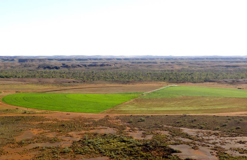 An aerial view of the Woodie Woodie irrigation trial site on Warrawagine station, 190km east of Marble Bar.