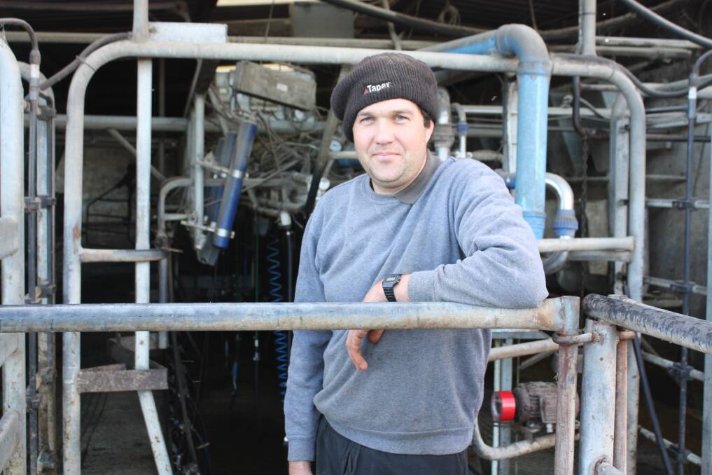 Kieran Chapman in better times in his old dairy. He and four other farmers supplying Harvesy Fresh have been told their milk will not be collected after next January.