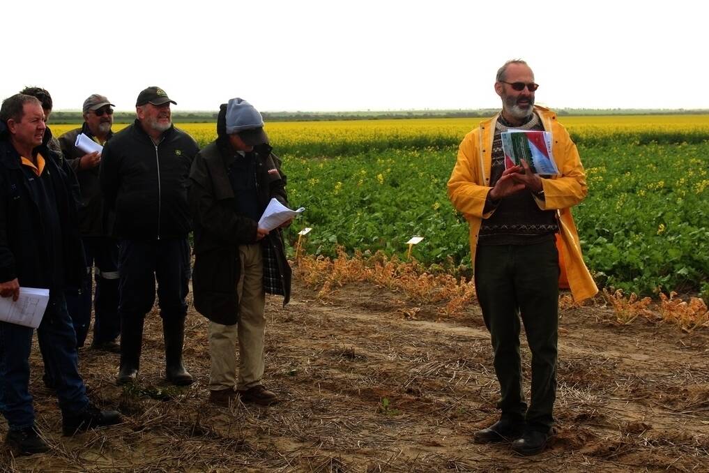 DAFWA senior research officer Bob French (right) at the Liebe Group post seeding field walk. Dr French said using second generation retained hybrid seed could lead to a 20 per cent yield penalty.