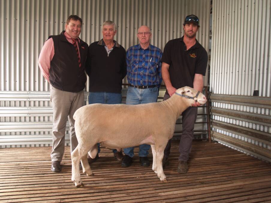 The top-priced White Suffolk ram at last week's Golden Hill on-property ram sale sold for $3000. With the ram are Elders stud stock manager Tim Spicer (left), buyer Brian Barrows and his adviser John Banks and Golden Hill co-principal Nathan Ditchburn.