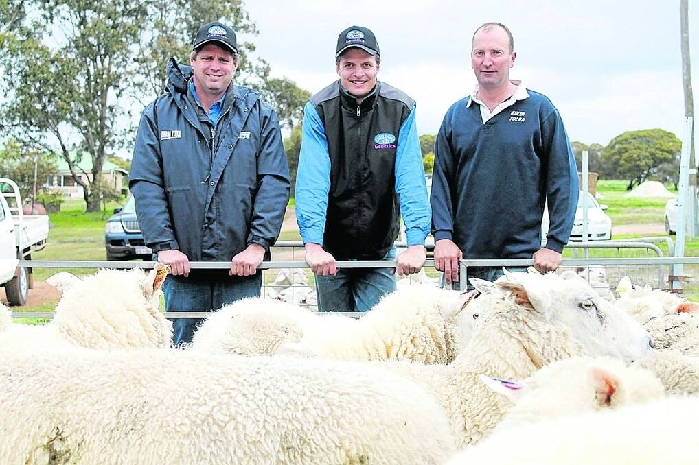 Riverside stud principal Tim Stevenson (left), Kaula Dale farm manager Bayden Reid and Kulin commercial Multimeat producer Brendon Savage with a pen of 90-day old Multimeat lambs and their mothers. The lambs weigh an average of 35 kilograms (a rate of 375 grams of growth per head per day).