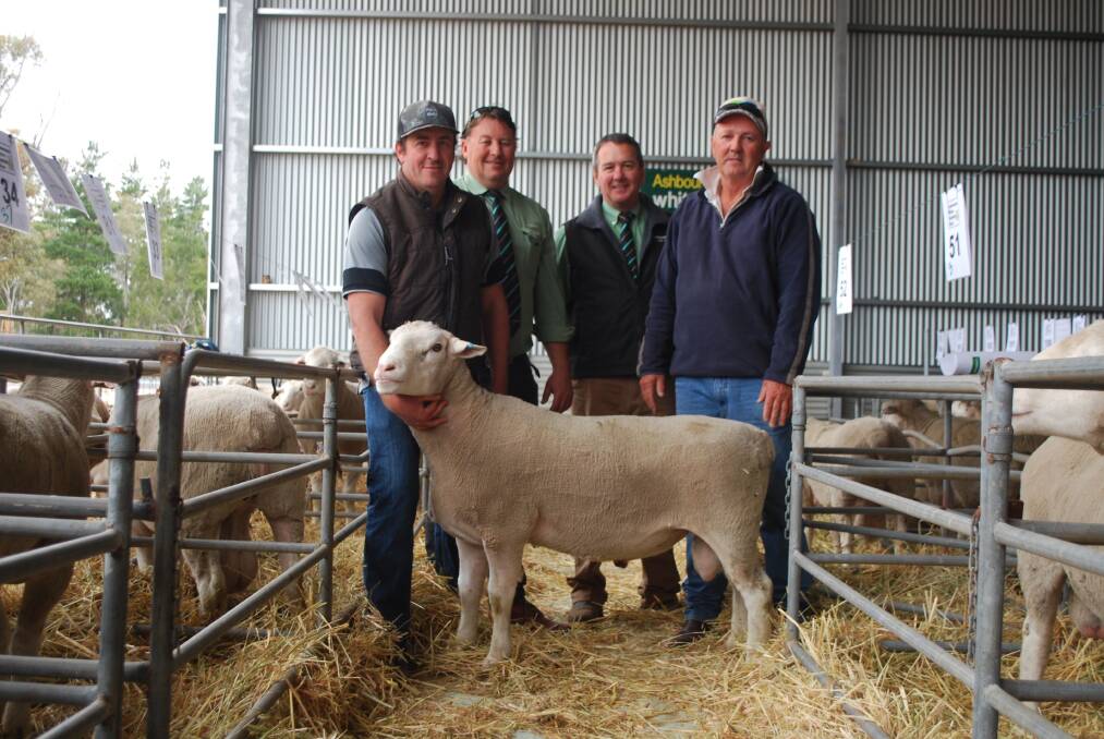 Ashbourne studmaster Simon Kerin (left), holds the $4000 top-priced ram sold at the on-property sale last week.  With him were Landmark Breeding Services prime lamb specialist Roy Addis, Landmark Breeding commercial sheep specialist Tom Bowen and Geoff Crabb, who bought on behalf of Giovi Ltd, The Grange White Suffolk stud, Dongara.