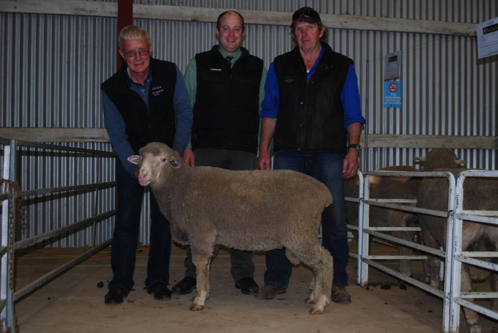 Glenlea stud principal Alex Leach (left), Katanning, holds the $3000 top-priced ram at the stud's production sale at Katanning last week.  With him is Landmark auctioneer Chris Elliott and Peter Holmes, who bought the ram on behalf of fellow South Australian stud breeder Paul Webb, Eagle Ridge, Cowell