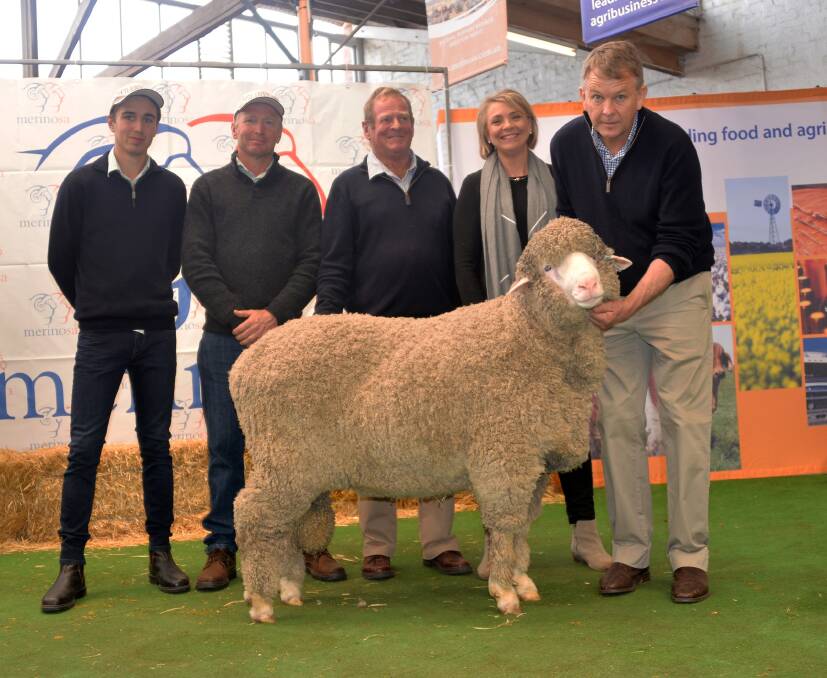 Klay (left), Barry and Daryl Smith, Glenville stud, Cowell, South Australia, with the $40,000 sale topper they purchased from Bernadette and Geoff Davidson, Moorundie, Keith, South Australia, at last week's South Australian Stud Merino and Poll Merino Ram Sale.