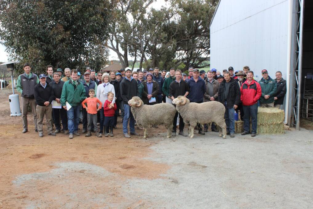 Eastville Park and Quailerup West co-principals Todd (left) and Grantly Mullan hold the $3500 top priced Quailerup West ram and $4900 top-priced Eastville Park ram surrounded by buyers at Monday's Eastville Park-Quailerup West on-property ram sale at Wickepin.