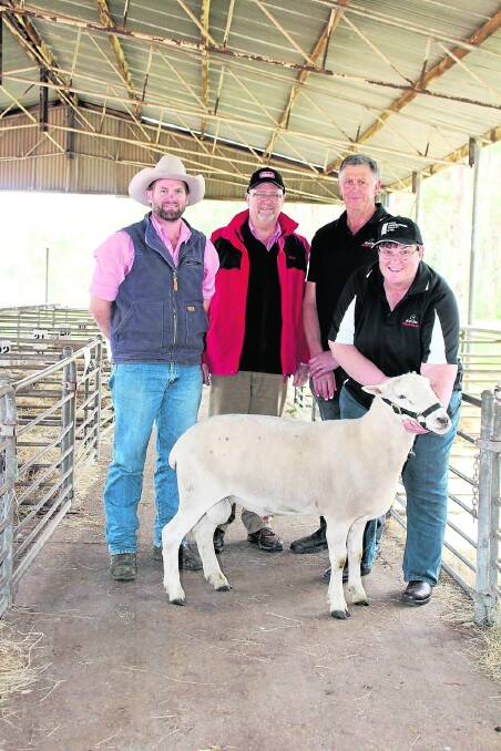 With the $3300 top price Wiltipoll ram at the 11th annual Neribri production sale on Saturday in Boyanup was Elders Busselton representative Clint Gartrell (left) who purchased the twin youngster on behalf of loyal client John Watkins, Condingup, Elders auctioneer Don Morgan and Neribri stud principals Brian and Neroli Smith, Boyanup.