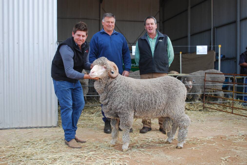 Wiringa Park co-principal Allan Hobley (left), holds the $3700 top price ram at the stud's on-property ram sale at Nyabing on Monday.  With him were buyer Neil Hobley, Nyabing and Landmark stud and commercial sheep manager Tom Bowen.