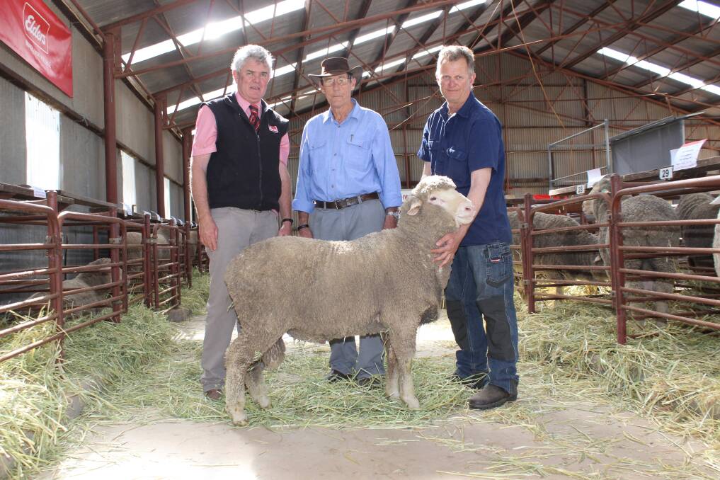 This Poll Merino ram from the Mocardy stud, Wongan Hills, topped last week's Wongan Hills and Distrcits Stud Sheep Breeders'Association annual ram sale. With ram is Elders Wongan Hills agent Jeff Brennan (left), buyer Lyle Oliver, LK & DL Oliver, Wongan Hills and Mocardy stud principal David Milsteed.