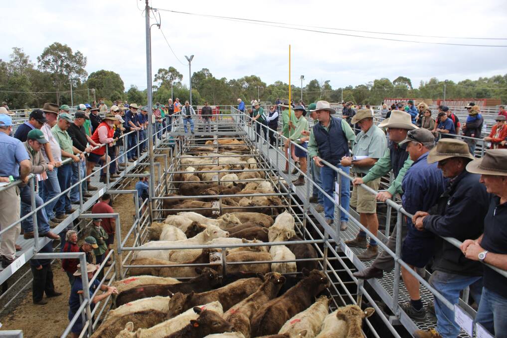 The future of the Boyanup saleyards is still in limbo, with no commitment given to its future location.