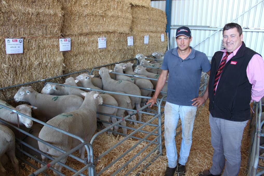 With the $1400 top-priced ram at the Fearnley Poll Dorset stud's annual on-property ram sale at Dandaragan were Stu Shield, Menardie, Dandaragan and Elders WA stud stock manager Tim Spicer.
