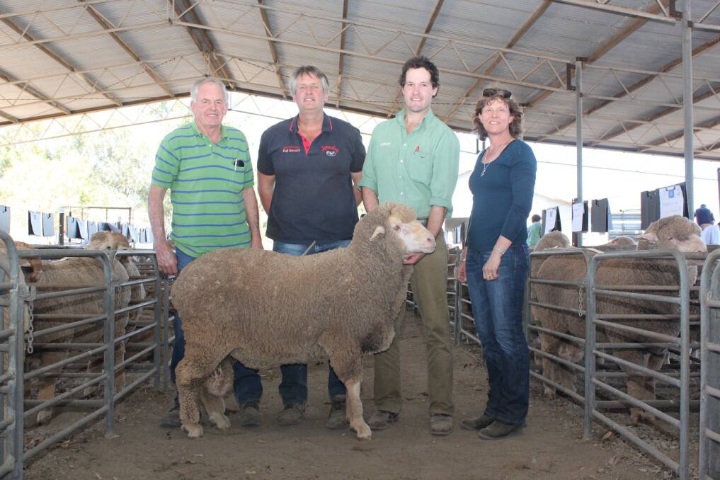 The $3000 top-priced Poll Merino ram of the Arra-dale Merino and Poll Merino and Sandown Poll Dorset sale in Carnamah last week with buyers Graeme (left) and Susanne  Warr, South Yuna, flanking Arra-dale and Sandown stud principal Les Sutherland, Perenjori and Landmark auctioneer Michael Altus. The Warr family also paid the $1600 top price for two crossbred Sandown Poll Dorset-White Suffolk rams.