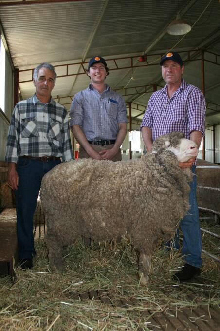 Boorabbin stud classer Bruno Luciani (left), Ayden Koch, Tambellup, with stud principal Iain Nicholson, Wannamal, who holds the Poll Merino ram which sold to CP & SA Walker, Tambellup, for $1500 at the Boorabbin on-property ram sale last week.