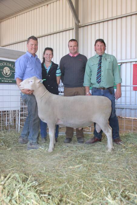 This Poll Dorset stud sire topped last week's Stockdale on-property ram sale at York when it sold for $3000 to the Alp family, RHG Alp, Gingin. With the ram were Stockdale's Brenton (left) and Belwyn Fairclough, Elders Northam area manager Jason Clarke and Landmark Breeding representative Roy Addis.