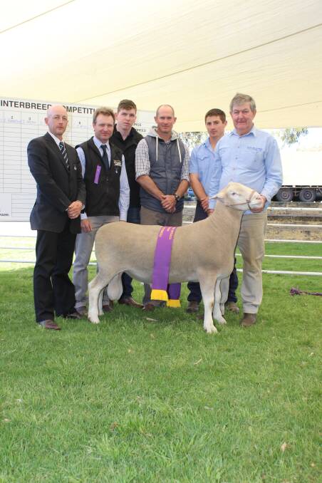 The Shirlee Downs Poll Dorset stud, Quairading, exhibited the British, Australasian and other breeds supreme champion ram, with the ram were judges Chris Marr (left), Gooloogong, NSW, Daryl Dixon, Dubbo, NSW, Callum O&#39;Neill, Southern Brook, Colin Holmes, Hyden, Denman Carter, Mt Barker and Shirlee Downs co-principal Chris Squiers.