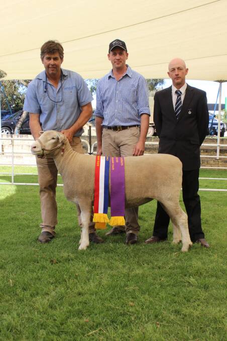 With the supreme exhibit and champion Poll Dorset ewe exhibited by the Dongadilling stud, Quairading, were Dongadilling co-principal Sascha Squiers (left), associate judge Clint Westphal, Wilgarna stud, Boyup Brook and judge Chris Marr, Geredan Poll Dorest stud, Gooloogong, New South Wales.