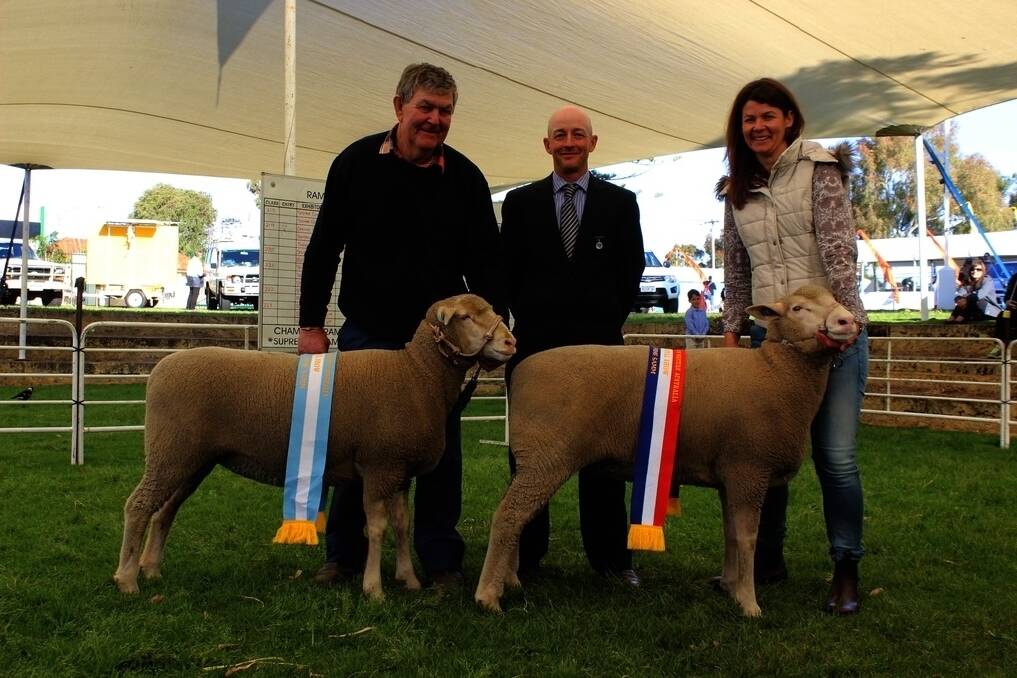 The champion and reserve champion Prime SAMM ewes were exhibited by the Shirlee Downs stud, Quairading, with the ewes were Shirlee Downs co-principal Chris Squiers (left), judge Chris Marr, Gererdan Poll Dorset stud, Gooloogong, New South Wales and Shirlee Downs&#39; Kelsie Squiers.