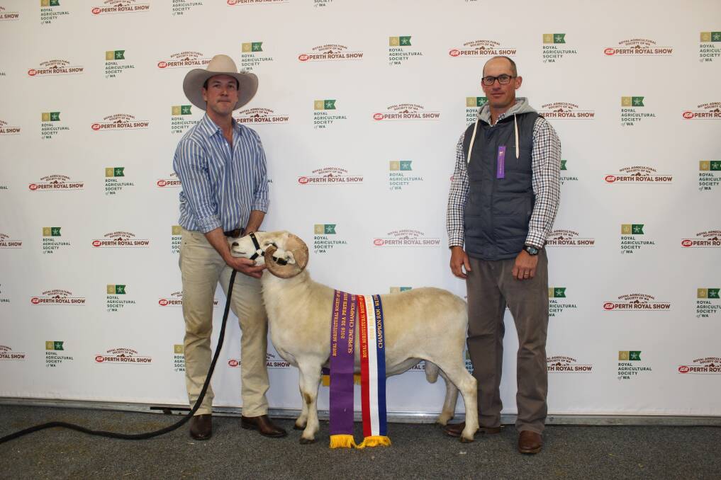 Marmik Estate principal and handler Nathan Paterson (left) and judge Colin Holmes, Hyden, with the Wiltshire Horns Best of Breed and champion ram at this year&#39;s IGA Perth Royal Show.