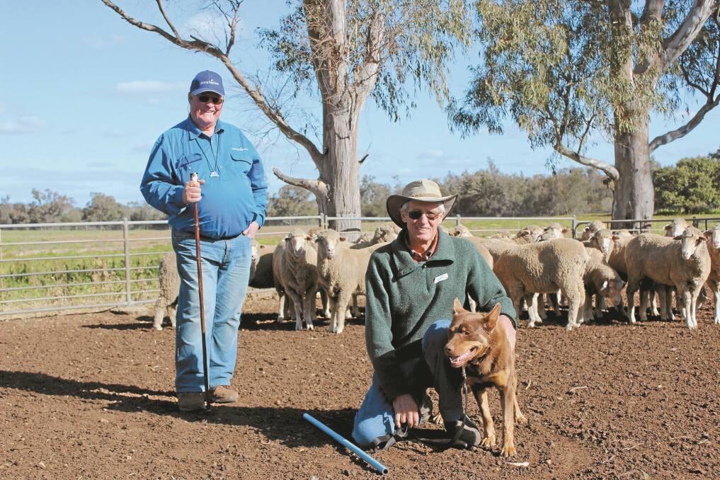Former West Australian Meat Marketing Co-operative chairman and sheep industry leader and breeder Dawson Bradford (front) and his dog Buc with working dog whisperer Ben Page at Muresk Institute, Northam.