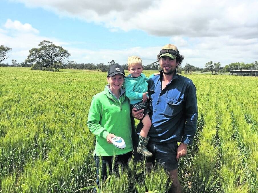 Precision ag specialist Vantage WA last week flicked Torque the winner of its Greenseeker giveaway competition held during the machinery field days round. The winners were Aimee (left) and Rob Holmes, who is holding their son Mitch in a bountiful crop of green wheat. Aimee has the Greenseeker which no doubt will get plenty of use in the coming years. Congrats guys.
