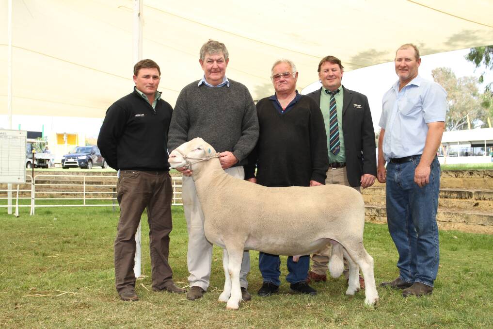 Prices topped at $13,500 for a Shirlee Downs Poll Dorset ram at the 2016 IGA Perth Royal Show All Breeds Stud Ram and Ewe Sale last week. With the ram were Landmark Kojonup agent Troy Hornby (left), Shirlee Downs stud co-principal Chris Squiers, Quairading, buyer George Pearce, Orrvale stud, Kojonup, Landmark Breeding representative Roy Addis and Shirlee Downs stud co-principal Adrian Squiers.