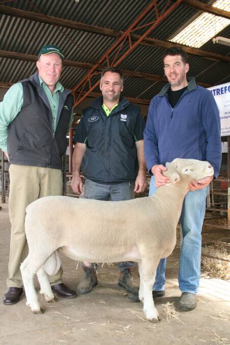 This week's Northam British Breeds ram sale reached a top price of $1000 five times. With lot 21, the first ram in the line-up to top the sale, were Landmark auctioneer Grant Lupton (left), buyer Corey Leeson, Meckering and vendor Warren O'Neill, Centreforest Poll Dorset stud, Northam.