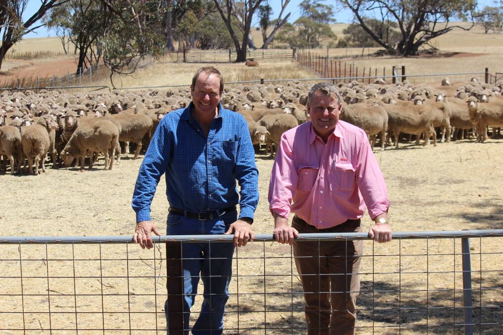 Colvin's Jeremy Lefroy (left) and Elders Zone Performance Manager Ian White. The Colvin Merino flock will be dispersed at the Elders Moora sheep sale on Thursday November 10.