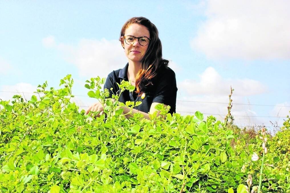 Emma Graham is working with researchers and farmers and impressing industry professionals in the executive officer role at ASHEEP based in Esperance.
